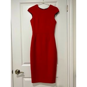 Zara Red Fitted Dress With Full Length Back Zipper